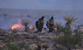 Tornade de foc provocate de un incendiu uriaș în California și Nevada