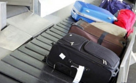 Мужчину с питонами в багаже задержали на юге Индии