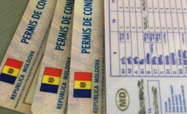 Молдавские водительские права будут признаны в Израиле