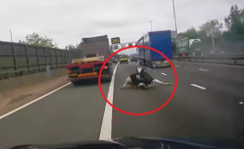 Vacă zburătoare incident hazliu pe o autostradă din Marea Britanie