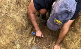 В Молдове археологи обнаружили гробницу бронзового века ее отнесли к ямной культуре