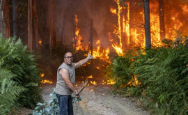 Португалия в огне Экстремальная жара вызвала огромные пожары