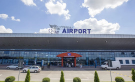 Кишиневский международный аэропорт заполонили насекомые Учреждение представило разъяснения