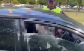 Полицейский чуть не оказался на капоте автомобиля во время проверки водителя