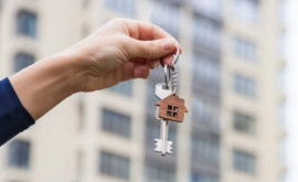 Увеличивается количество официально зарегистрированных договоров аренды недвижимости