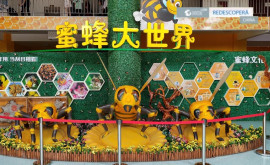 Приключения журналиста в Китае Удивительный мир пчел и важная роль в балансе природы