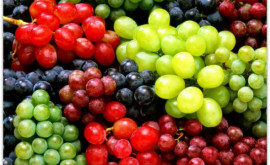 Когда снизятся цены на виноград в Молдове