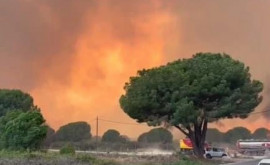 Incendiu puternic în Franța dea lungul graniței cu Spania