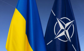 NATO a admis ca Ucraina să renunțe la o parte din teritoriile sale pentru a deveni membră a alianței
