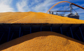 Rusia elaborează cu partenerii alternative la acordul cerealier