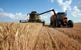 Несмотря на богатый урожай зерновых в этом году аграрии недовольны