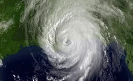 Ученые Гарварда предупреждают Стихийные бедствия говорят о самоуничтожении планеты
