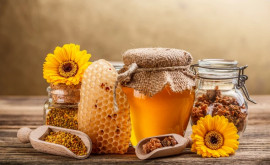Prețul de export al mierii moldovenești nu acoperă costul de producere declarație