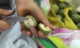Зеленые орехи продаваемые на улице опасны для здоровья Что говорят врачи