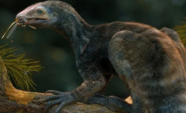 В Бразилии нашли останки древней рептилии с необычными конечностями