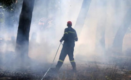 Noi incendii în Grecia Locuitorii îndemnați să rămînă în case