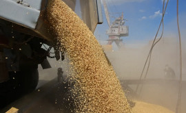 Turcia și ONU pregătesc propuneri pentru Rusia privind acordul cerealelor