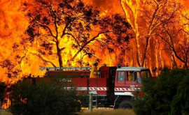 Австралийцы готовятся к худшему сезону лесных пожаров 