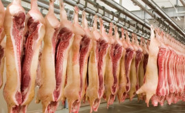 Без льготного импорта свинины в Молдове резко возрастут цены на мясные изделия