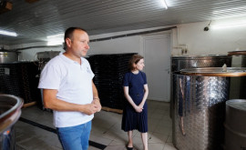 Șefa statului la Căușeni Afacerile mici și mari din sectorul vitivinicol dinamizează economia locală 