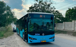 Новые автобусные маршруты появятся в Кодру и Бубуечь