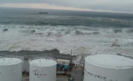 Ce arată primele analize de securitate după deversarea apei radioactive de la Fukushima
