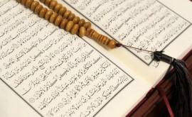 Кабмин Дании вводит запрет на сожжение Корана