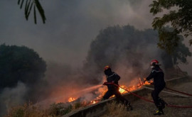Крупнейшие лесные пожары в истории ЕС