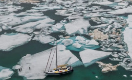 Oamenii de știință au aflat ce sa întîmplat cu expediția din 1845 care a dispărut în Arctica