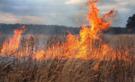 Опасность возгорания растительности сохраняется до середины сентября