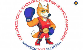 Succesul boxerilor moldoveni la Campionatul European