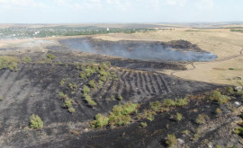 Hectare de pădure și pășuni distruse de flăcări în nordul țării
