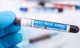 В Румынии растёт число зараженных вирусом лихорадки Западного Нила