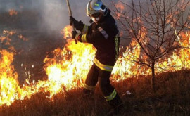 Количество пожаров растительности в Молдове увеличивается