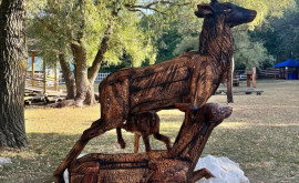 O nouă sculptură în lemn șia găsit locul în Pădurea Domnească