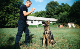 La straja țării Echipele canine ale Poliției de Frontieră completate cu doi cîini de rasă