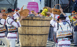 Национальный фестиваль винограда пройдет в воскресенье в Чимишлии 