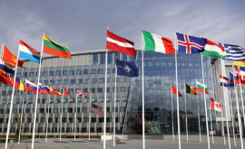 Армении предложили присоединиться к НАТО