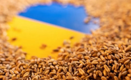 Ucraina amenință cu un proces împotriva UE în cazul prelungirii interdicției de export de produse agricole 
