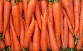 În Moldova prețul morcovilor este în scădere