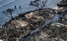 Что стало причиной разрушительных пожаров на Гавайях 