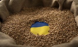 Ministerul polonez de Externe afirmă că presiunile ucrainene asupra importurilor de produse agricole depășesc limitele granițelor