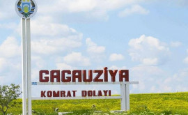 Bașcanul Găgăuziei exclus din componența unei comisii naționale