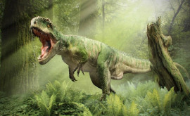 В Китае нашли отпечатки птицеподобного динозавра 
