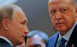 Эрдоган по итогам G20 призвал решать с РФ вопрос вывоза зерна по Черному морю
