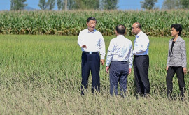 Xi Jinping șia stabilit sarcina de a revitaliza industria și economia din nordestul Chinei