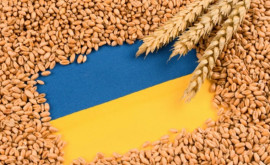 Венгрия и Словакия выступили за продление запрета на импорт зерна с Украины 