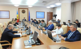 Ряд молдавских предприятий получит государственную помощь