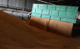 Болгария отменит запрет на поставки зерновых с Украины