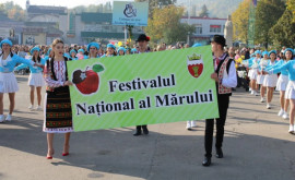 La Soroca va fi organizat Festivalul național al Mărului